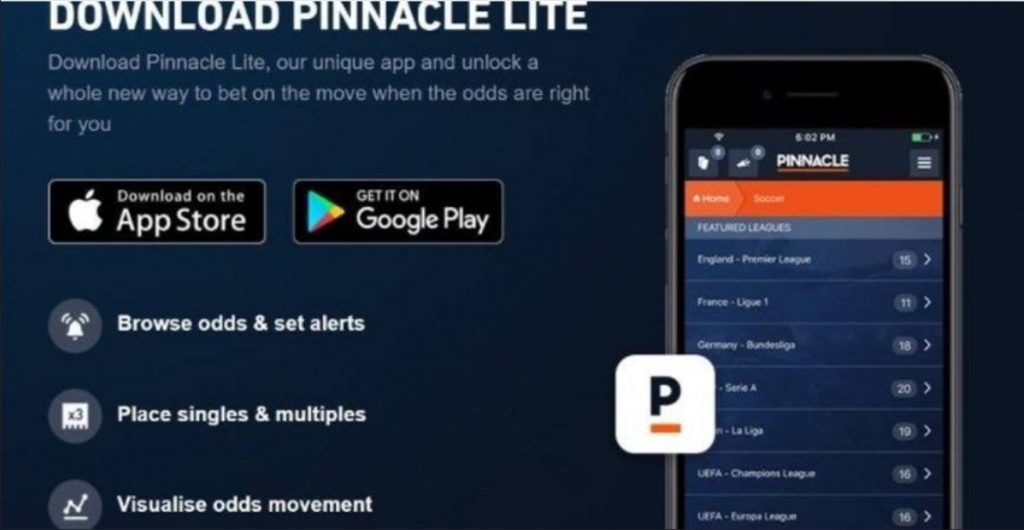 pinnacle_skachat_